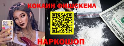 индика Кингисепп