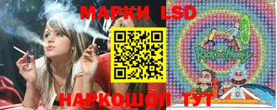 стафф Кинель