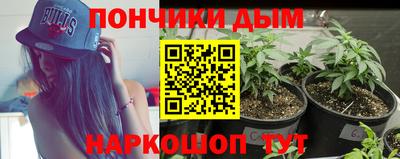 индика Кингисепп