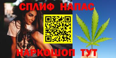стафф Кинель
