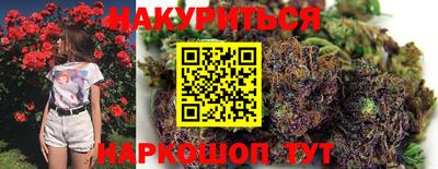 индика Кингисепп