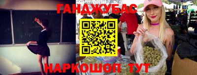 индика Кингисепп