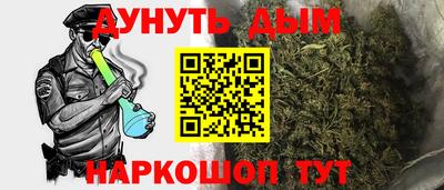 сатива Кимры