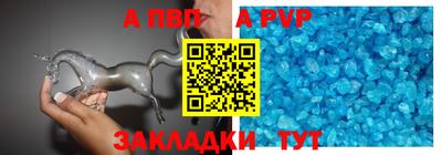 индика Кингисепп