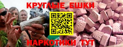 индика Кингисепп