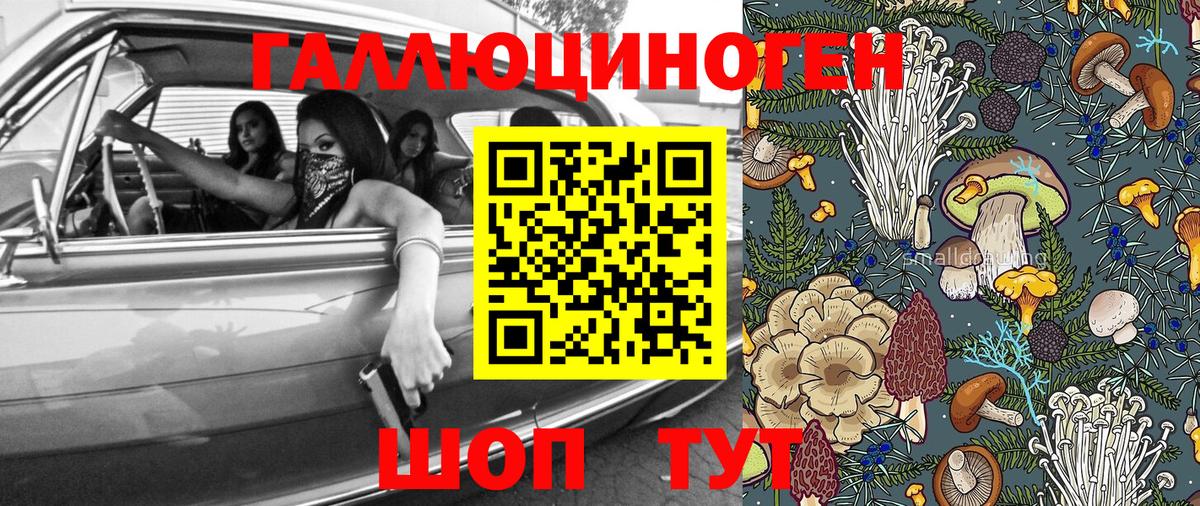 Керчь  хочу   Галлюциногенные грибы мицелий  Вход с VPN  Псилоцибиновые грибы GOLDEN TEACHER 
